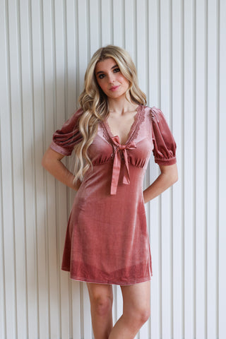 Frosted Berry Velvet Dress