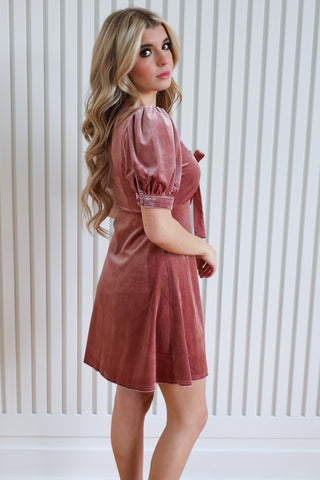 Frosted Berry Velvet Dress