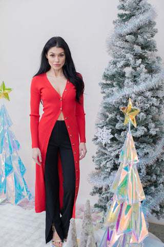 Noel Nights Button Down Dress